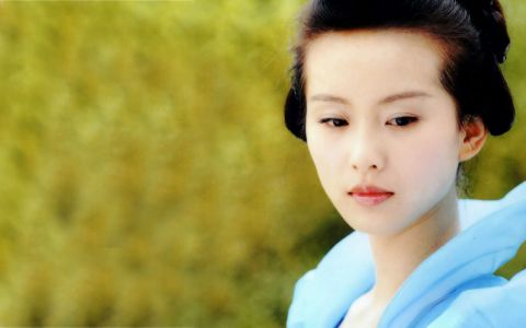 内地古装女王刘诗诗电脑壁纸