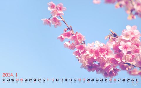 2014年1月小清新日历壁纸