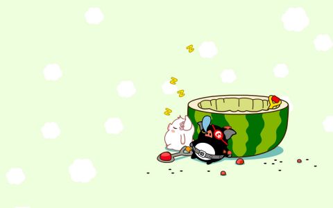 夏季清凉西瓜特辑