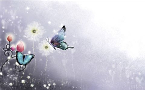 唯美蝴蝶花纹