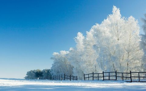 清新唯美雪景图片